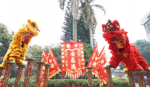龙腾狮跃，共铸鲜丽将来！